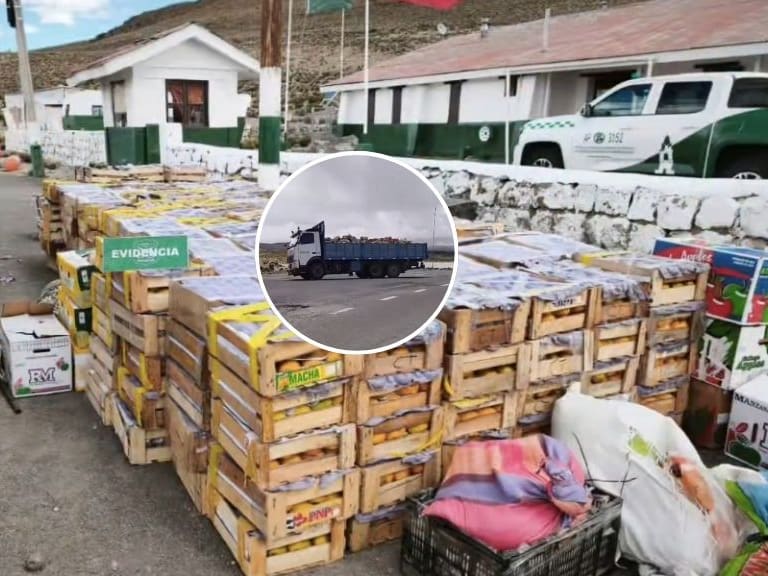 Carabineros incauta contrabando de frutas avaluado en más de $30 millones en el altiplano