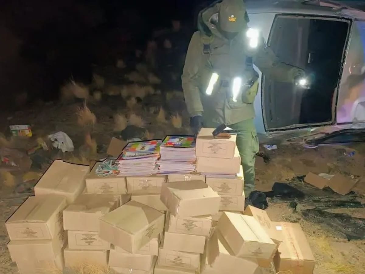 Detienen a ciudadano peruano que contrabandeaba desde Chile álbumes y láminas del mundial: volcó borracho en Argentina