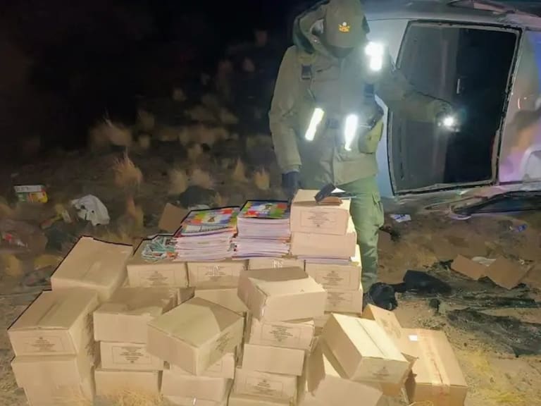Detienen a ciudadano peruano que contrabandeaba desde Chile álbumes y láminas del mundial: volcó borracho en Argentina