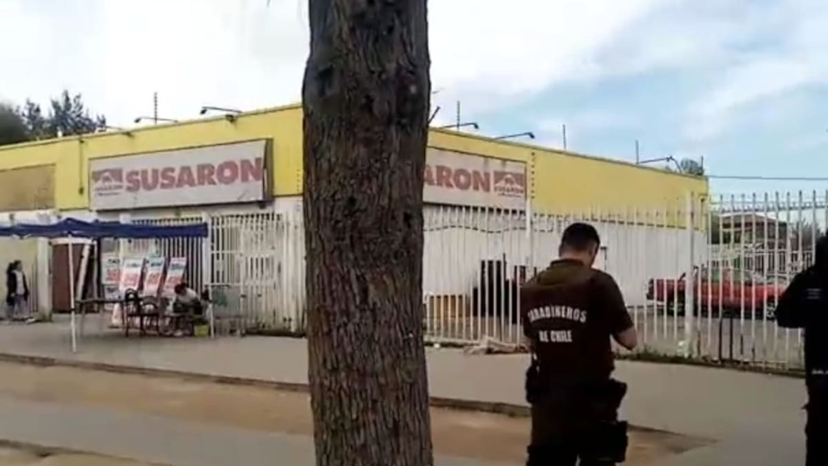 Violento asalto en carnicería de Pudahuel: delincuentes armados lanzaron disparos al aire