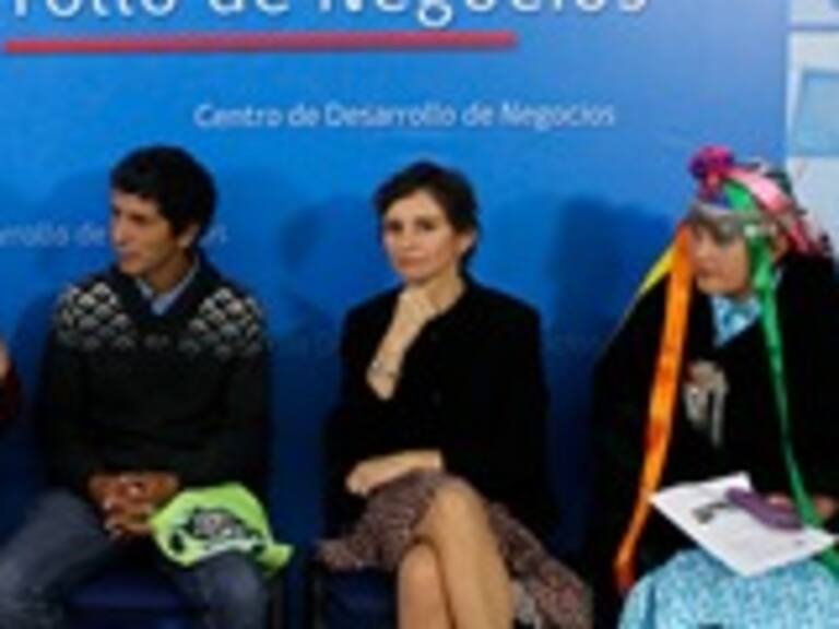 Bachelet sobre el Imacec de febrero: «Es una cifra mucho mejor a la esperada»