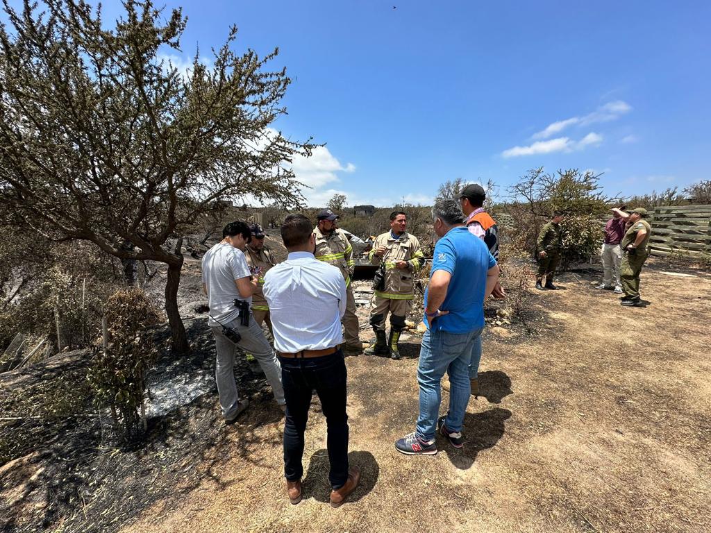 Hallazgo de cadáver tras incendios forestales en Limache
