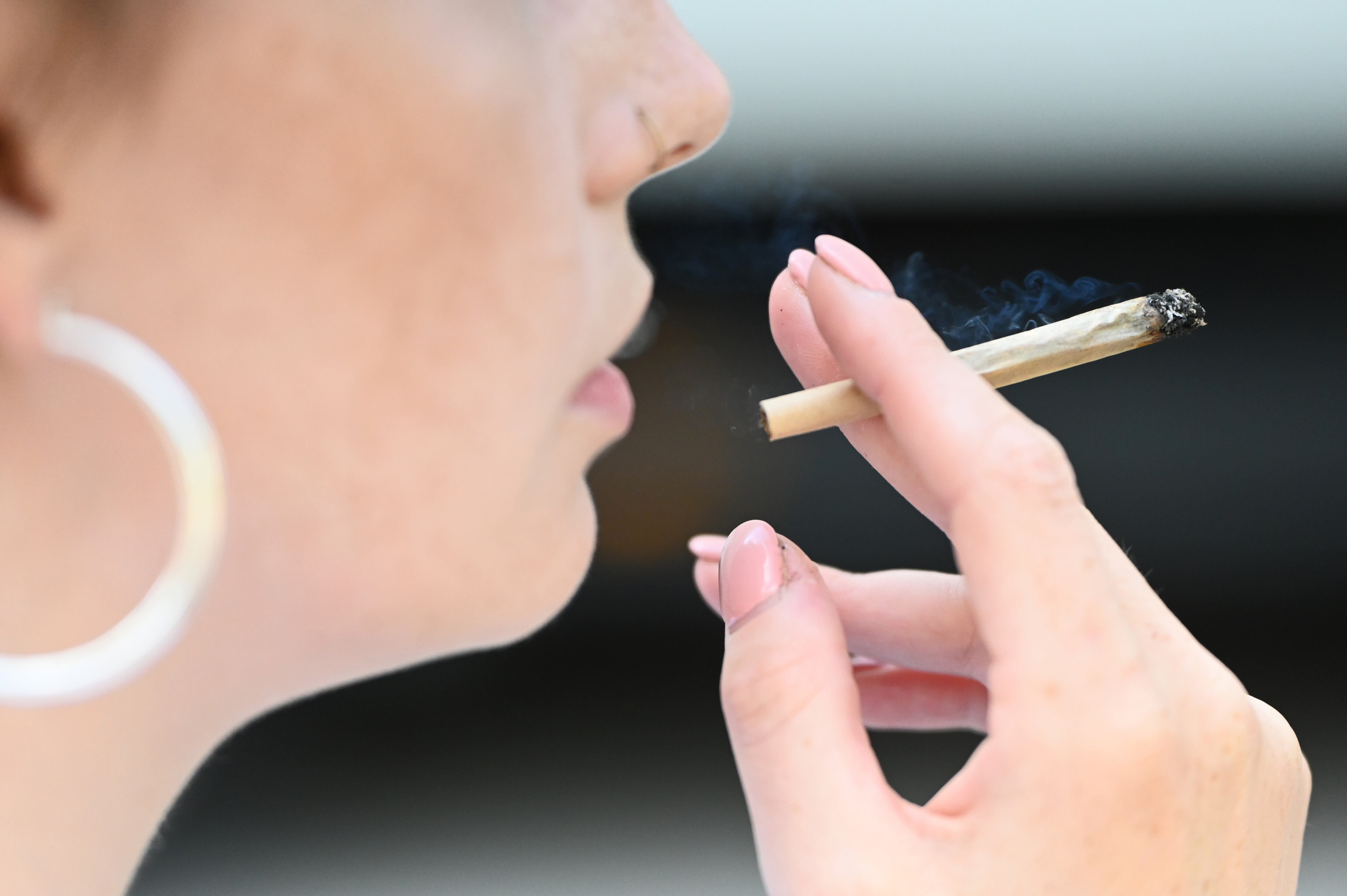 Efecto del cannabis podría quedar “guardado” en el cerebro y aparecer años después, según estudio chileno