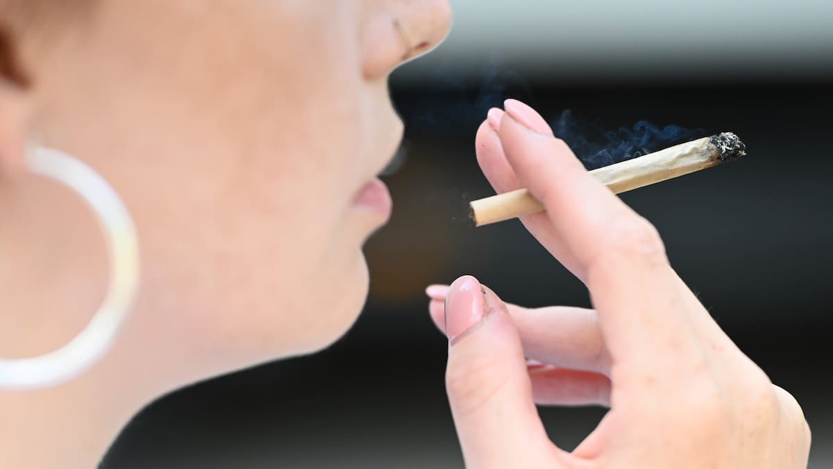 Nuevo estudio internacional permite medir cuándo el consumo de marihuana es excesivo