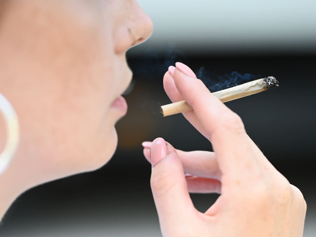 Efecto del cannabis podría quedar “guardado” en el cerebro y aparecer años después, según estudio chileno