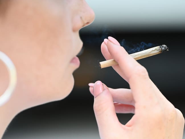 Efecto del cannabis podría quedar “guardado” en el cerebro y aparecer años después, según estudio chileno