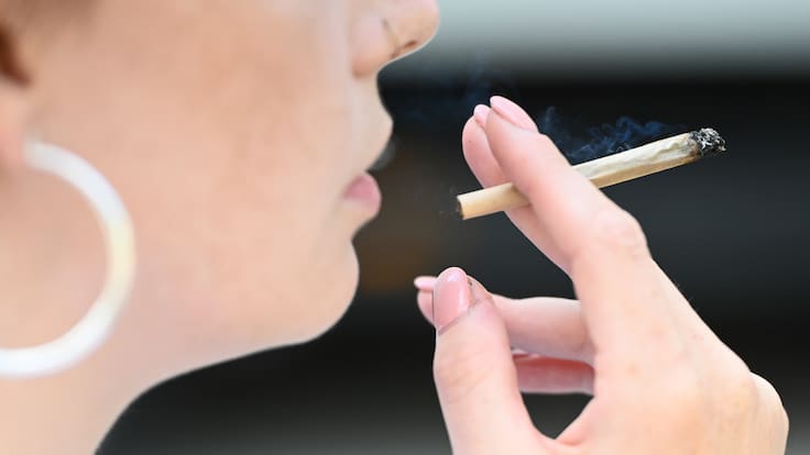 Efecto del cannabis podría quedar “guardado” en el cerebro y aparecer años después, según estudio chileno