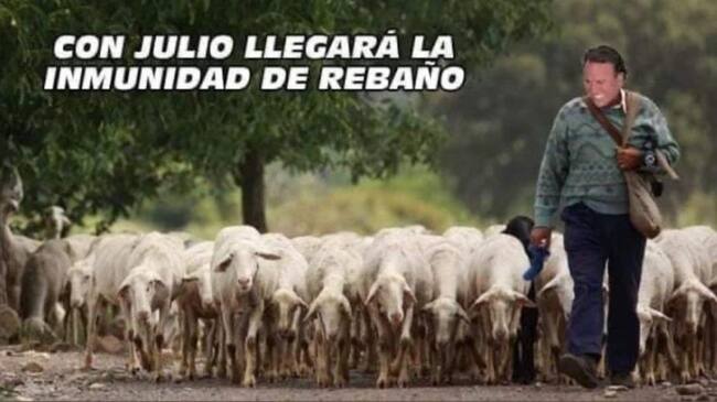 Redes sociales | Memes de Julio