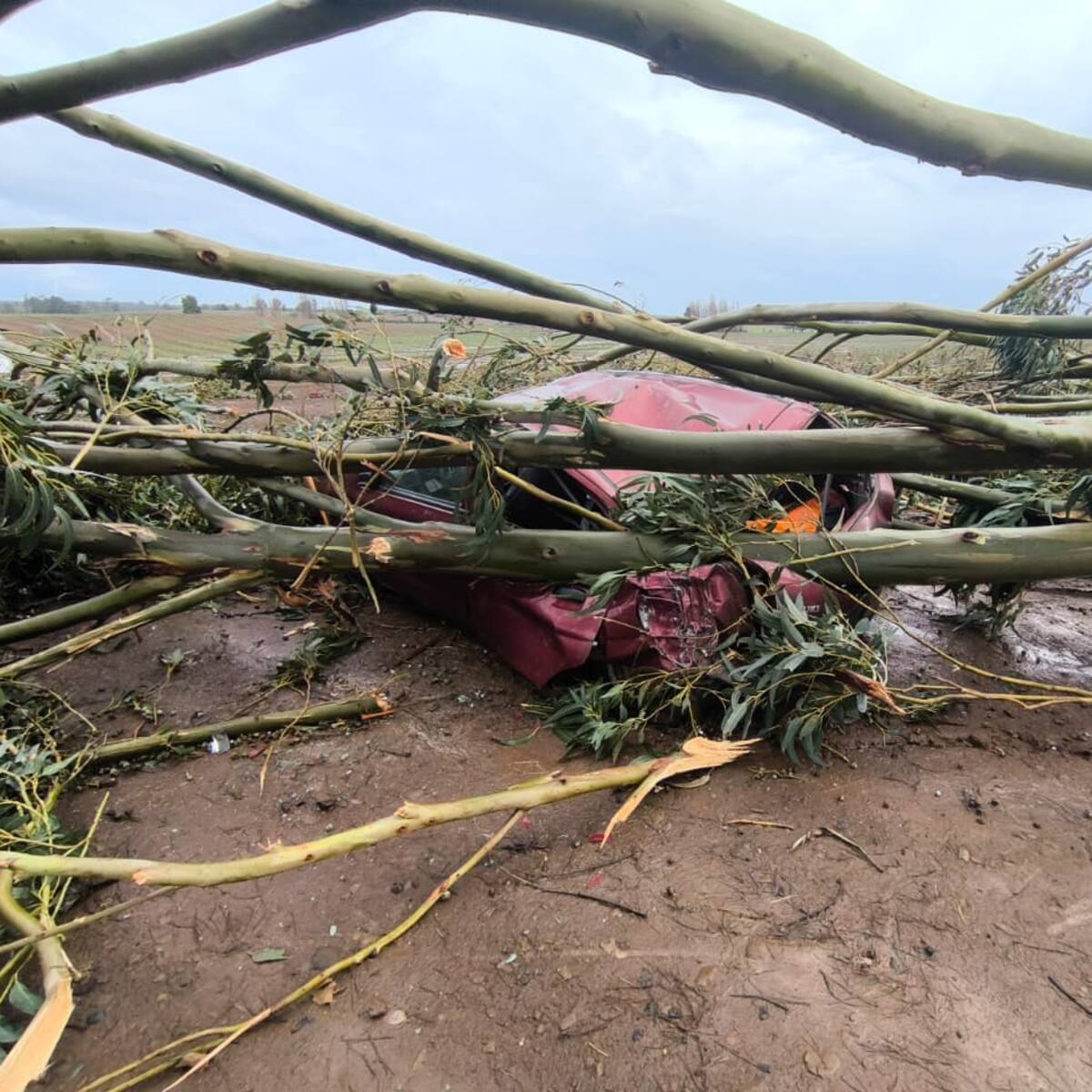 “Nunca se había visto”: la explicación de los tornados que sorprendieron a la región del Ñuble y provocaron daños en El Carmen