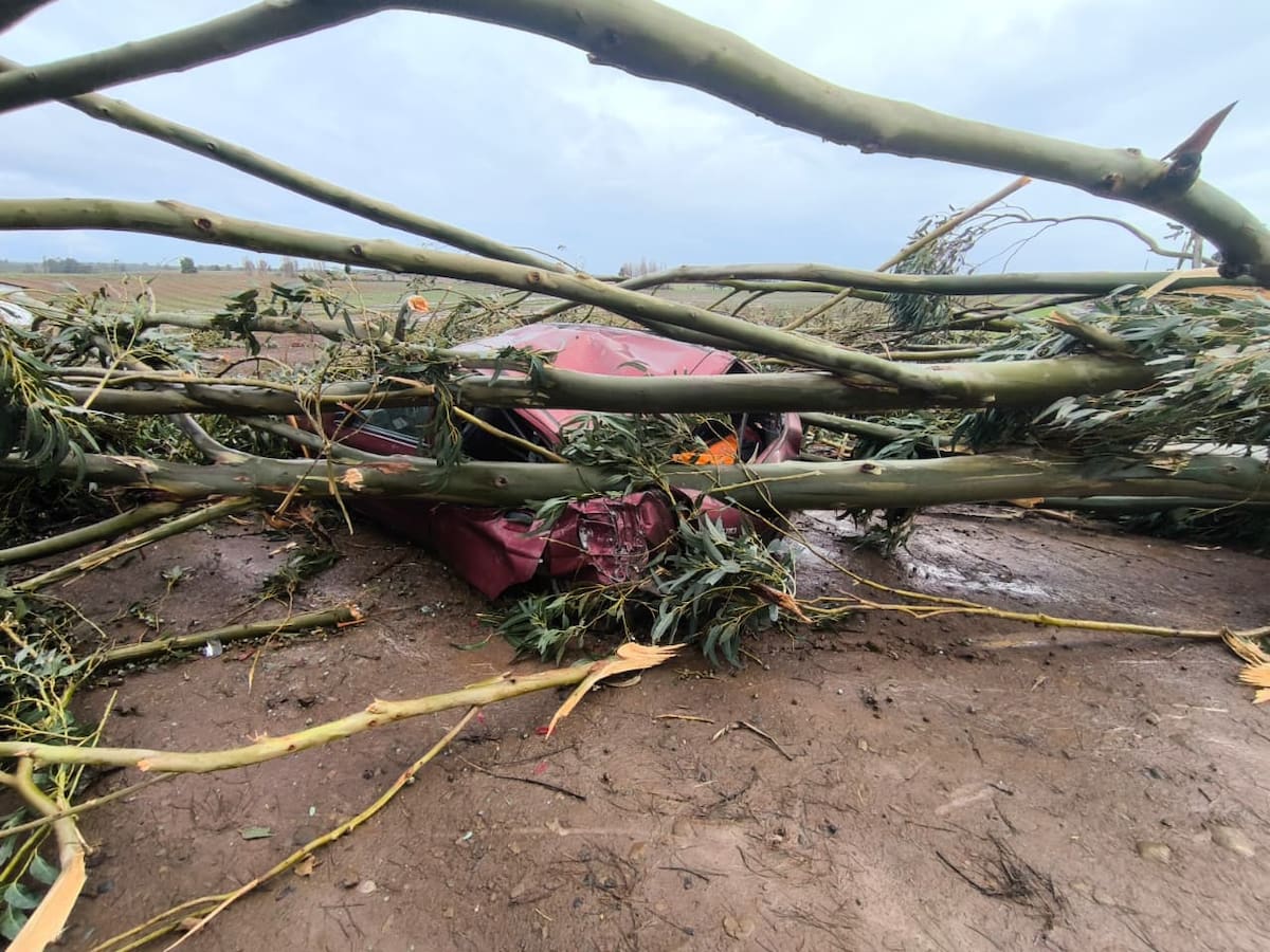 “Nunca se había visto”: la explicación de los tornados que sorprendieron a la región del Ñuble y provocaron daños en El Carmen