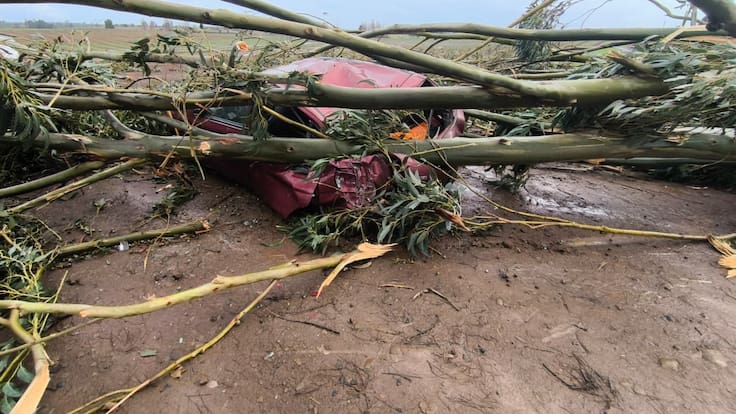 “Nunca se había visto”: la explicación de los tornados que sorprendieron a la región del Ñuble y provocaron daños en El Carmen