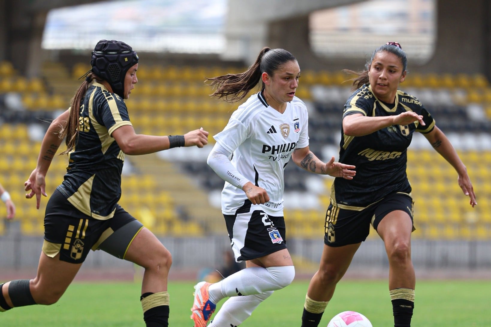 @ColoColoFem
