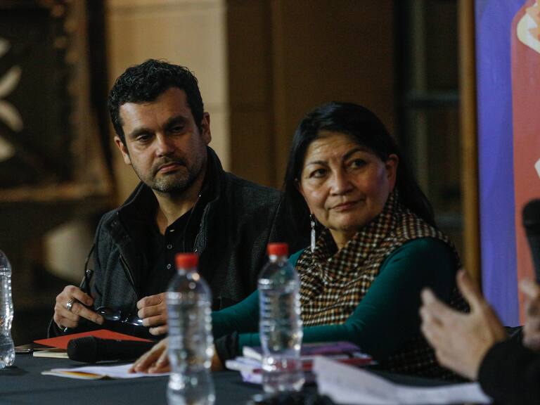 Usach publica antecedentes académicos de Elisa Loncon tras fallo judicial