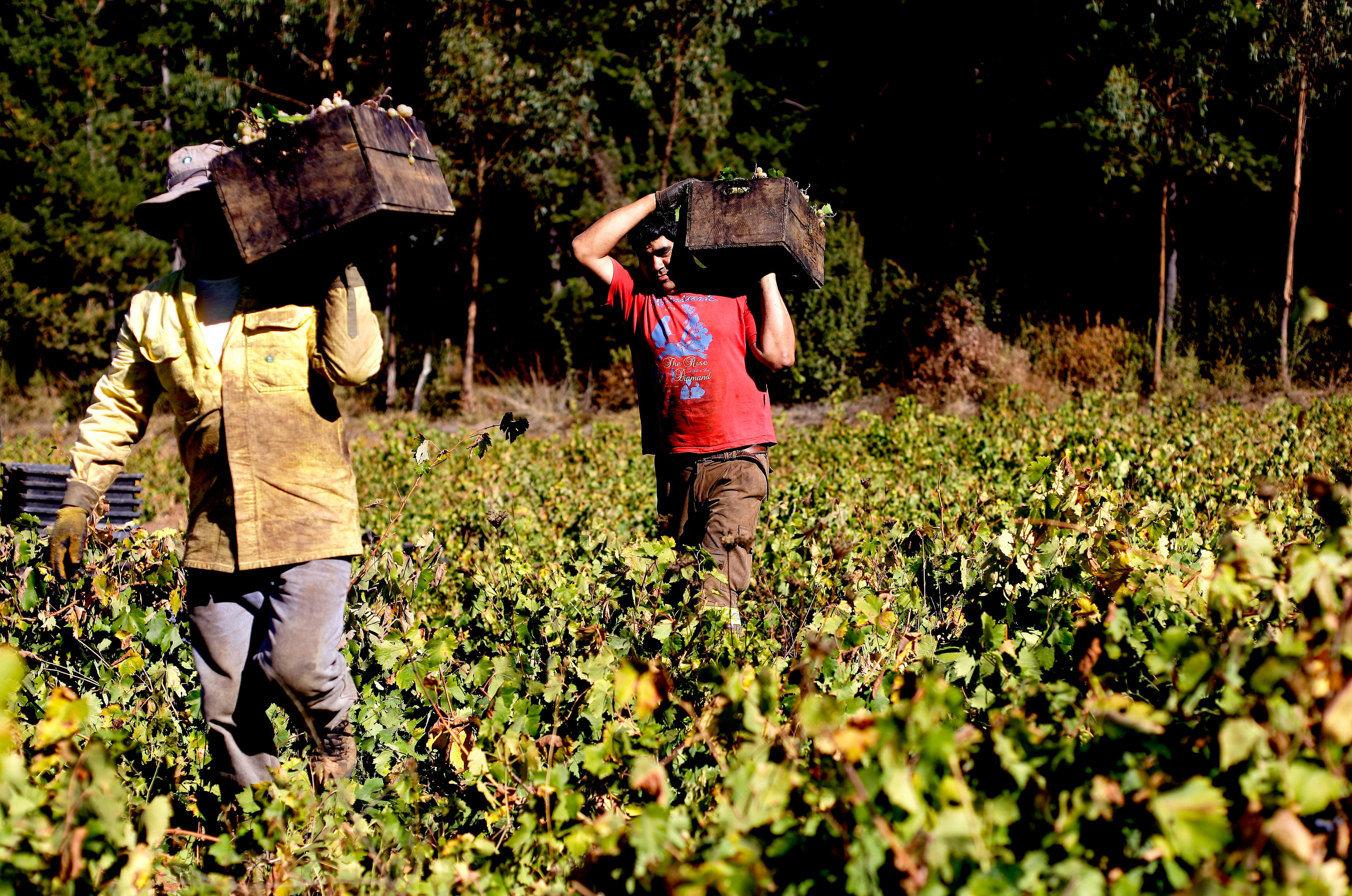 FOTO:MARIBEL FORNEROD/AGENCIAUNO