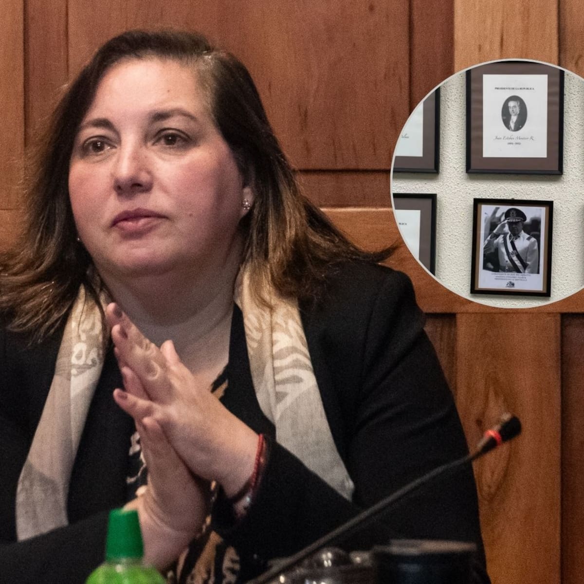 Senadora Vodanovic oficia a Interior por instalación de cuadro del dictador Augusto Pinochet en Delegación Presidencial