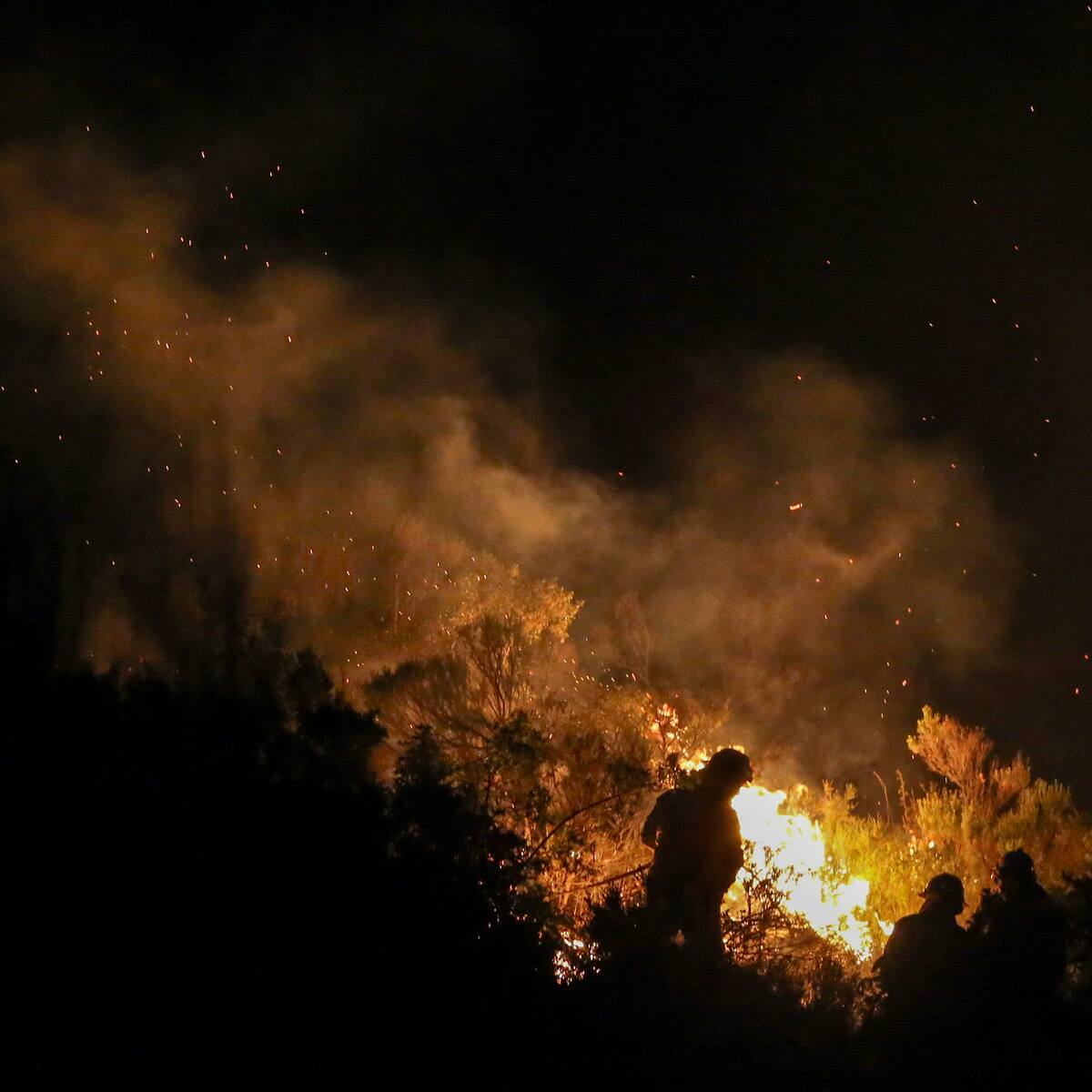 Autoridades chilenas en alerta ante incendio que afecta a la Patagonia argentina: llamas podrían cruzar a territorio nacional por Cochamó