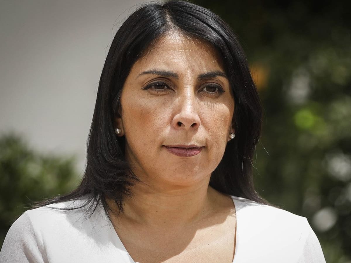 Rubilar por publicación de Cathy Barriga: Cometió un lamentable error