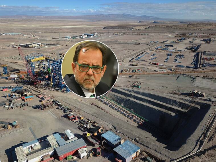 Chuquicamata - Mulet