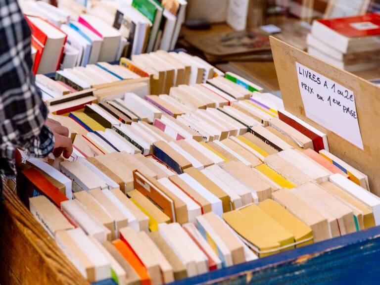 Día del Libro 2023: conoce los panoramas que se realizarán en la capital