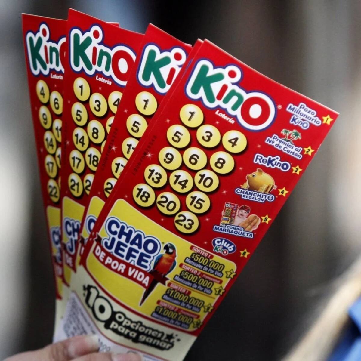 Resultados del Kino que repartió $14.600 millones: números ganadores del sorteo 3267 del domingo 16 de agosto