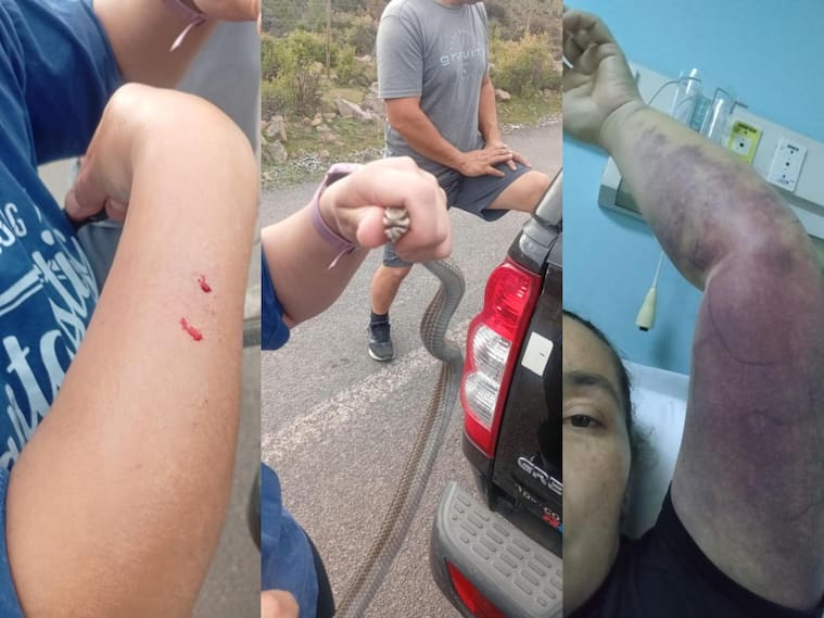 Culebra Putaend