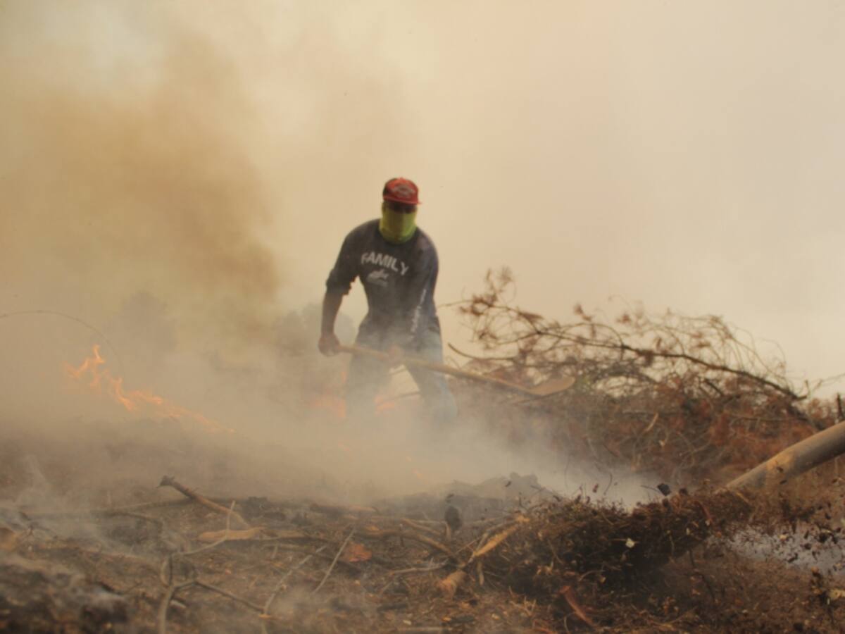Senapred ordena evacuar pueblo de Ninhue, Trancoyán y El Álamo por incendio forestal
