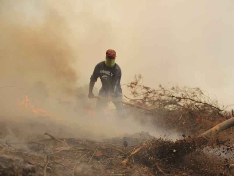 Senapred ordena evacuar pueblo de Ninhue, Trancoyán y El Álamo por incendio forestal