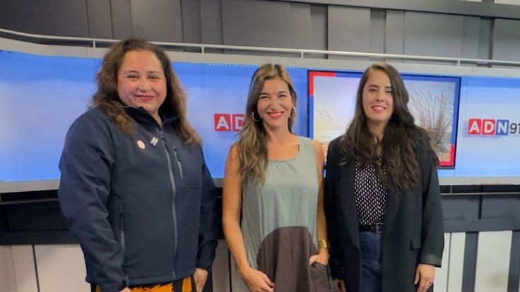 Chile conmemora su primer Día Nacional de los Glaciares: expertas analizan qué está pasando en el país