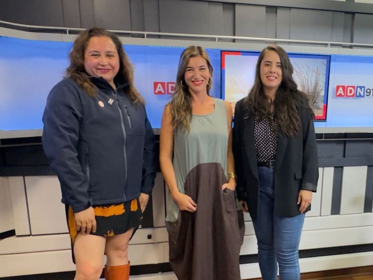 Glaciares en Chile bajo la lupa: expertas advierten sobre su estado y desafíos futuros