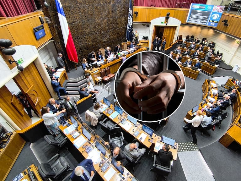 Senado aprueba en general proyecto de penas alternativas para reos mayores y terminales