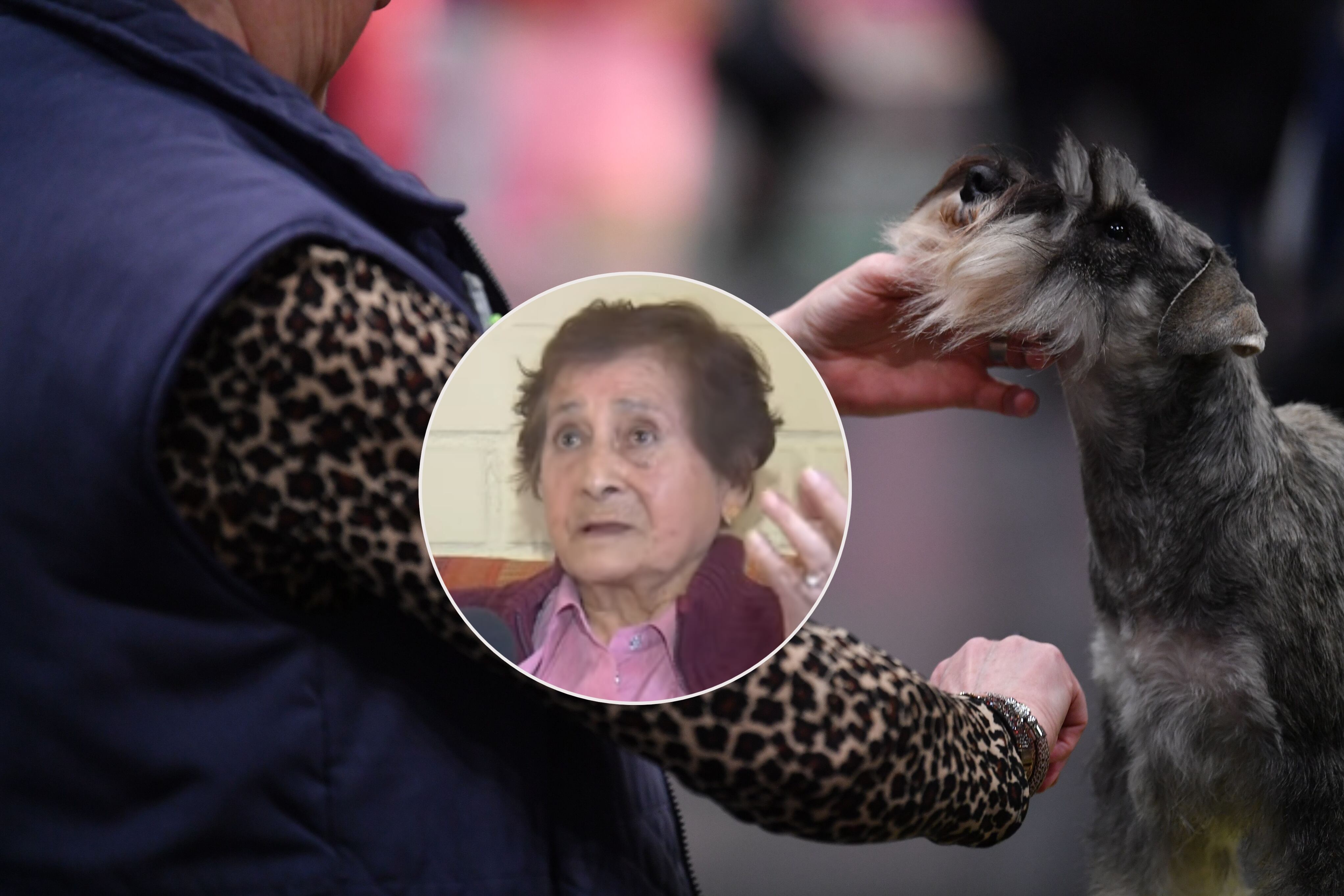 Adulta mayor denuncia ruidos molestos