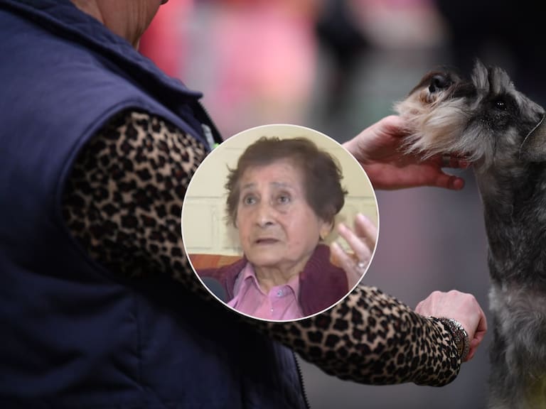 Adulta mayor denuncia ruidos molestos