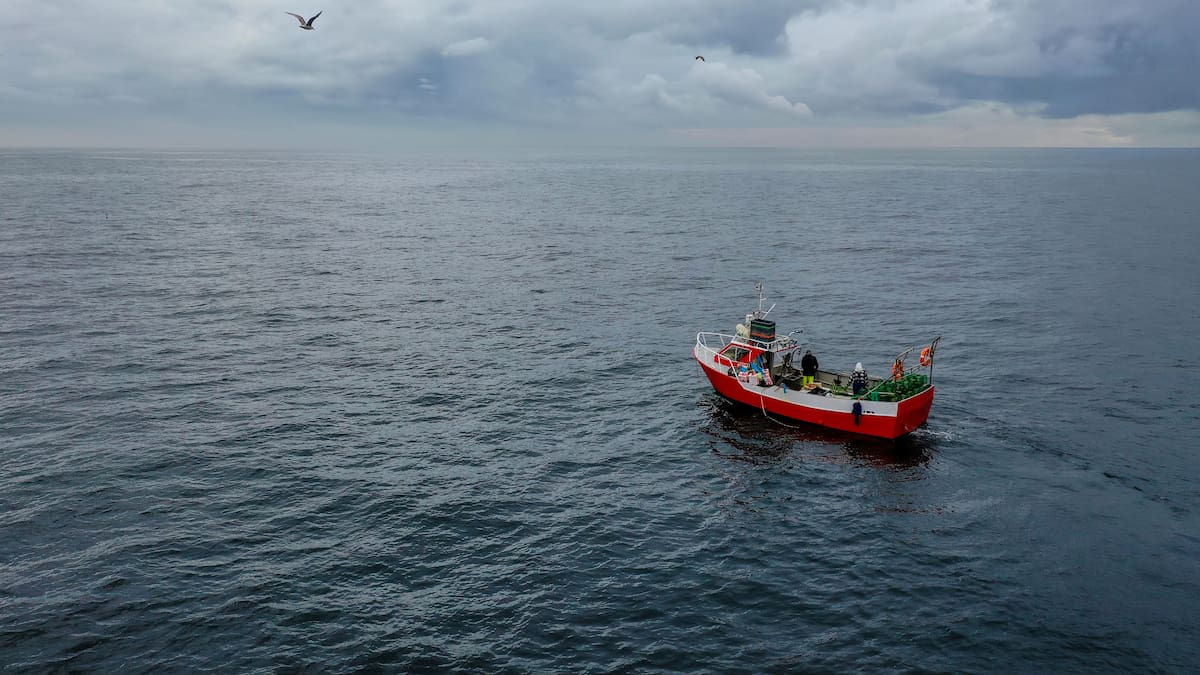 Se investiga su identidad: hallan cuerpo durante búsqueda de pescador desaparecido en Talcahuano