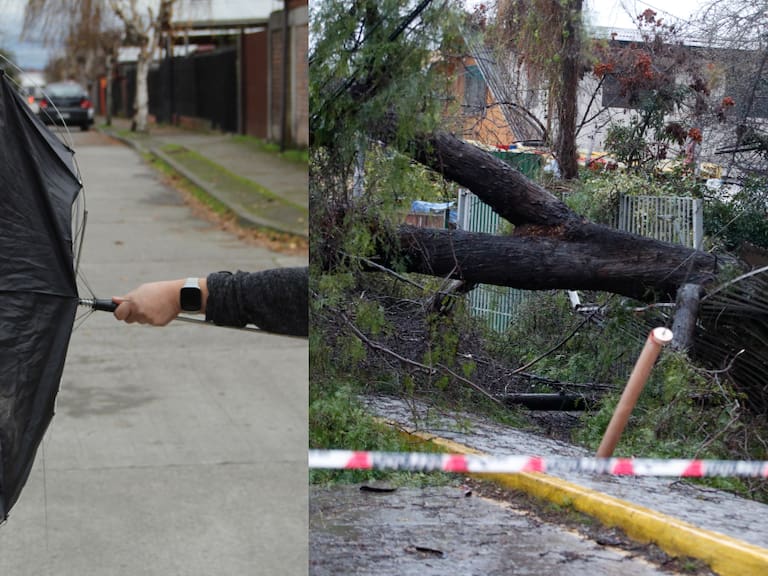 Sistema frontal en Chile: esta es la velocidad máxima que alcanzó el viento en Santiago