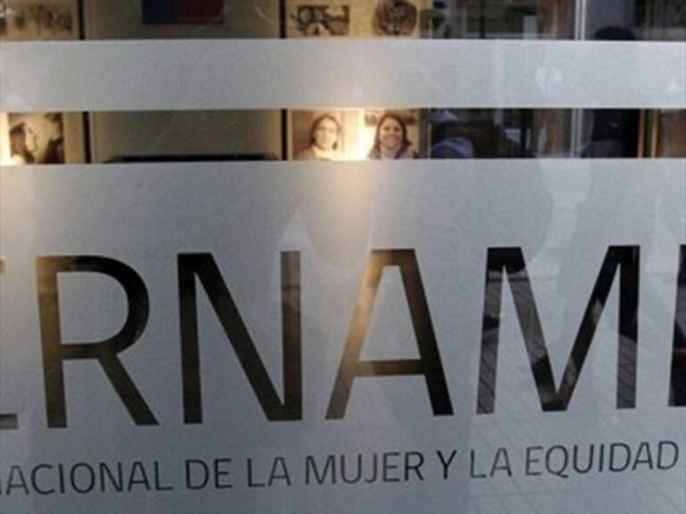 Viviana Paredes renunció como directora del Sernameg