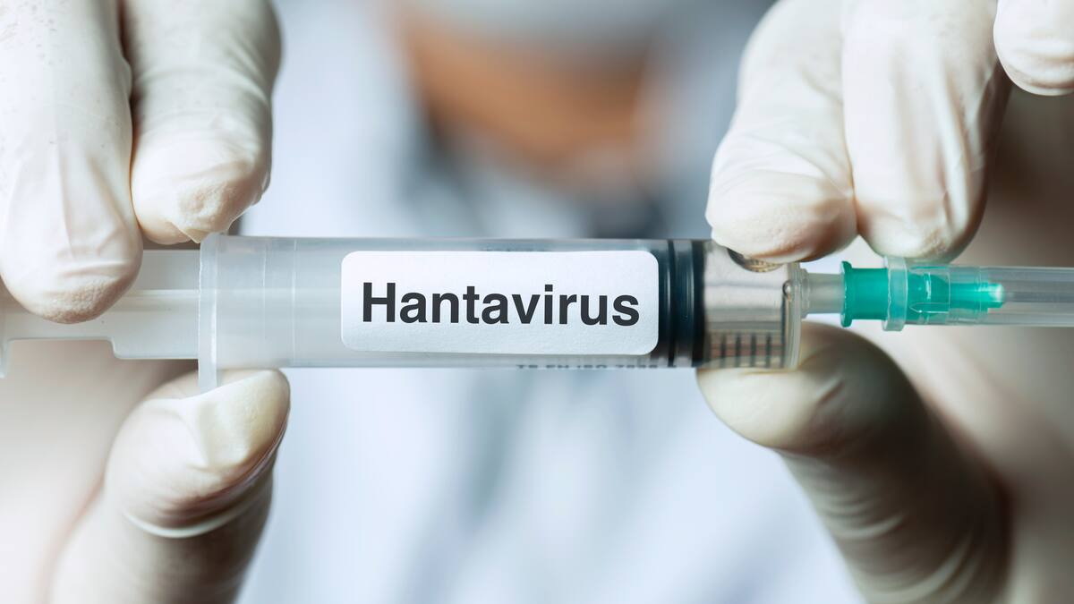 Hallazgo de científicos chilenos podría explicar por qué algunos pacientes desarrollan hantavirus grave