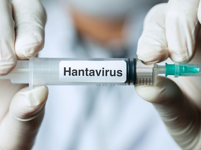 Hallazgo de científicos chilenos podría explicar por qué algunos pacientes desarrollan hantavirus grave
