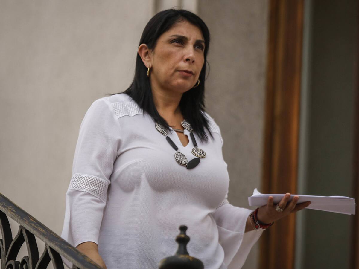 Vocera de Gobierno ofreció disculpas por error en cifra de fallecidos durante cadena nacional de Piñera