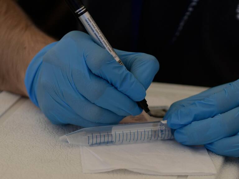 25 de JULIO O 2020 / ALTO HOSPICIOPersonal de salud primaria de la Municipalidad de Alto Hospicio efectuó test PCR a trabajadores de Feria Agropecuaria de dicha comuna, durante la emergencia sanitaria que ha provocado la pandemia Covid-19 en todo el país.
En la imagen un funcionaria escribe los datos de una persona en el tubo de muestras.
FOTO: CRISTIAN VIVERO BOORNES/AGENCIAUNO