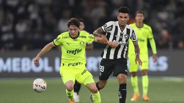 Botafogo superó a Palmeiras en choque de equipos brasileños por los 8vos de la Copa Libertadores 2024