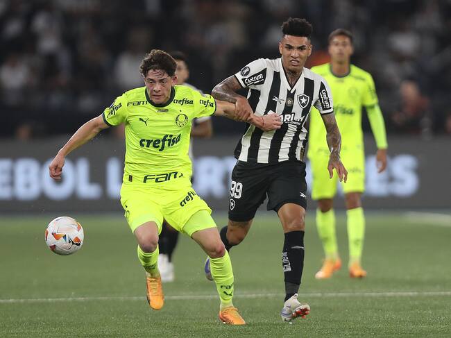 Botafogo y Palmeiras se vieron las caras por los 8vos de final de la Copa Libertadores | Getty Images