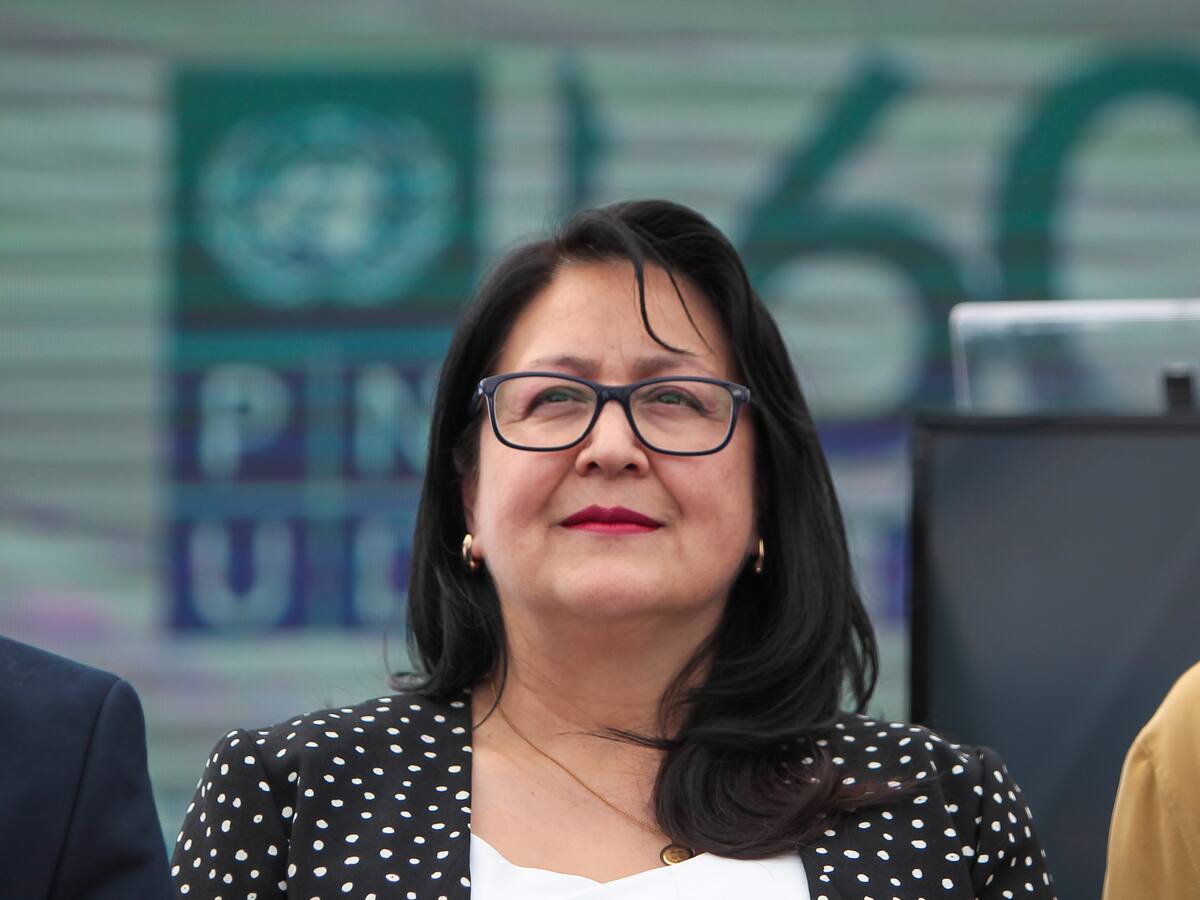 Subsecretaría del Patrimonio Cultural refuta cifras de Dorothy Pérez sobre permisos del Consejo de Monumentos Nacionales