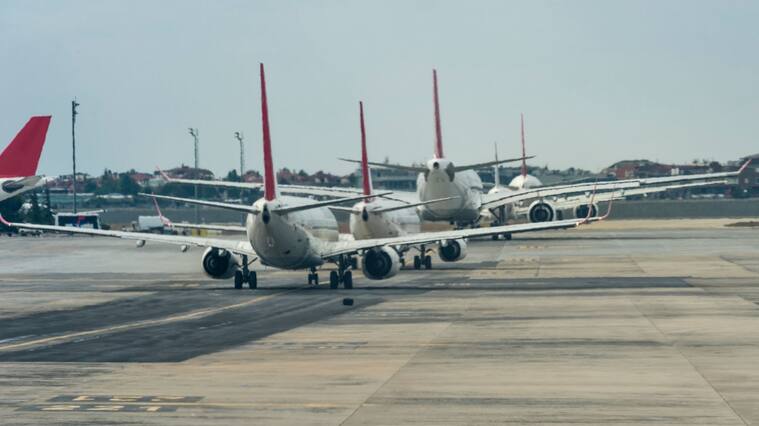 aerolinea, Estambul, pasajero, extravío, mascotas, perros, Suiza, cannes, vuelo, escala, perros perdidos, canes, p