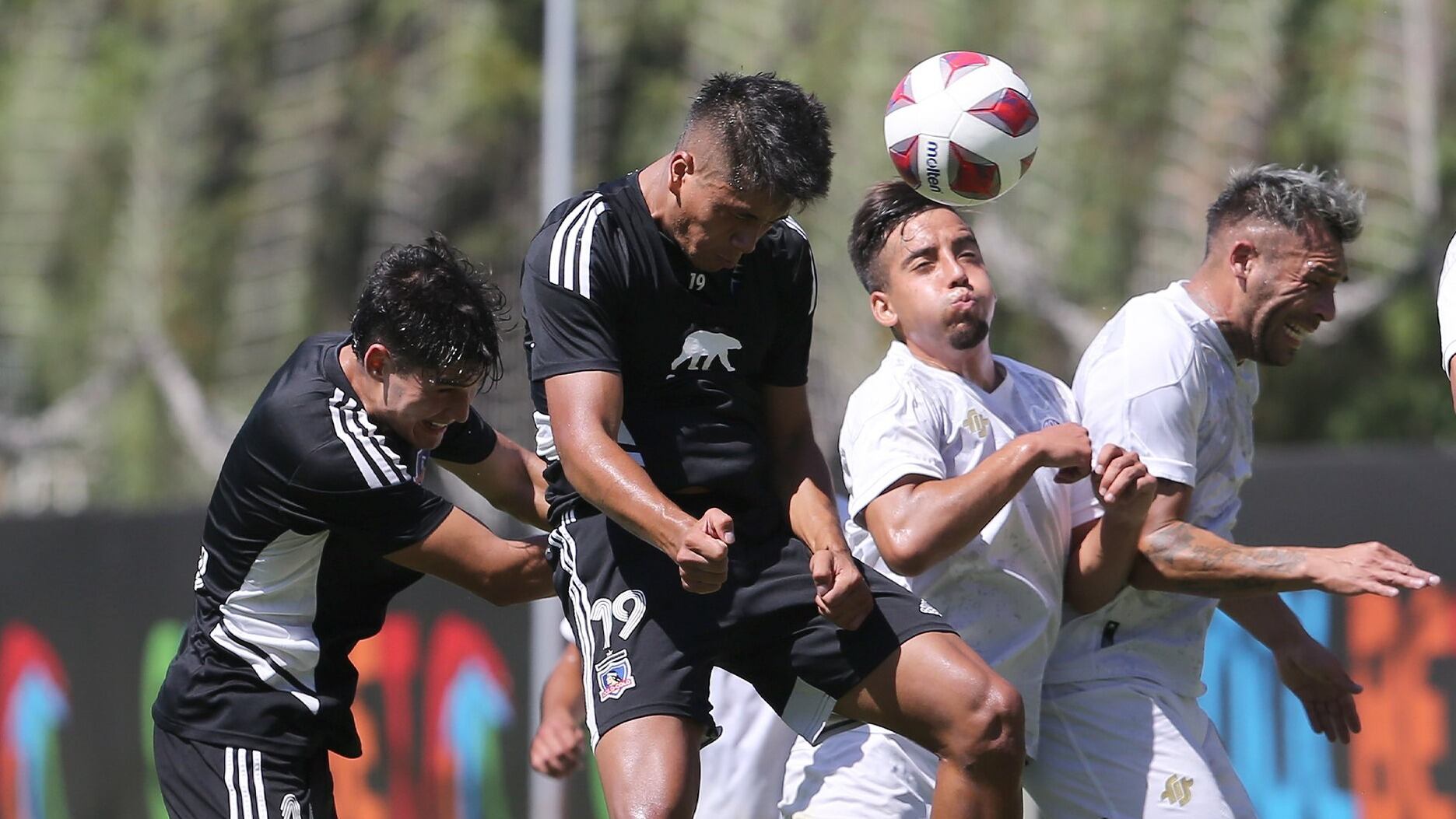 colo colo san antonio