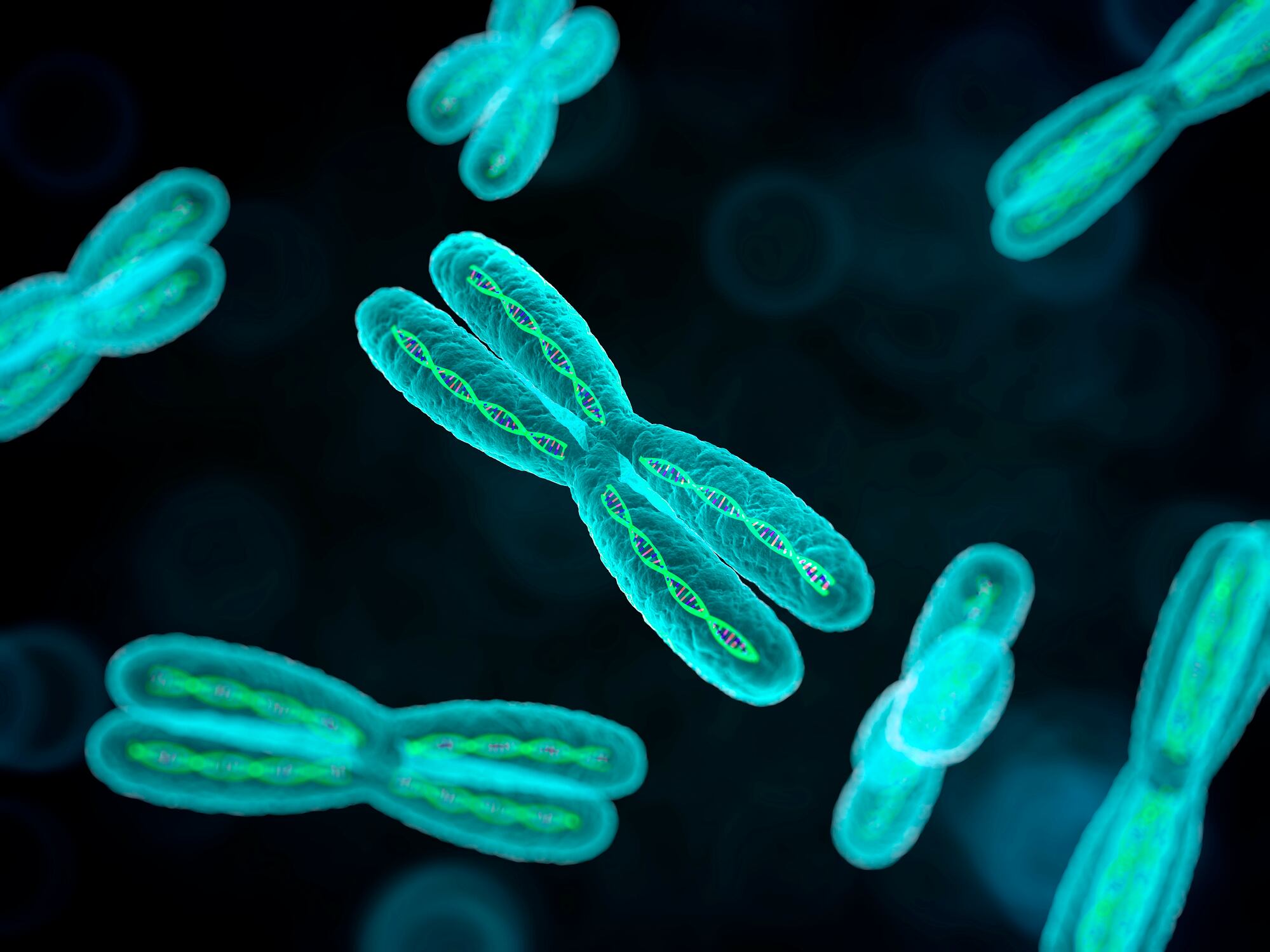 Chromosomes, computer artwork.