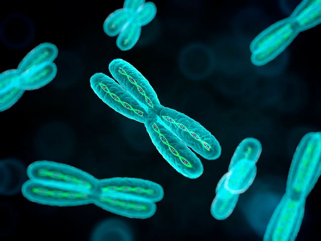 ¿Humanidad en peligro?: Científicos aseguran que cromosoma Y está desapareciendo