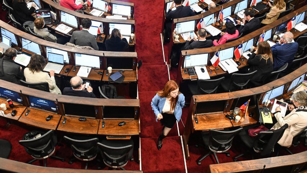 Alejandra Krauss - consejo constitucional - proceso constituyente -- nueva constitución