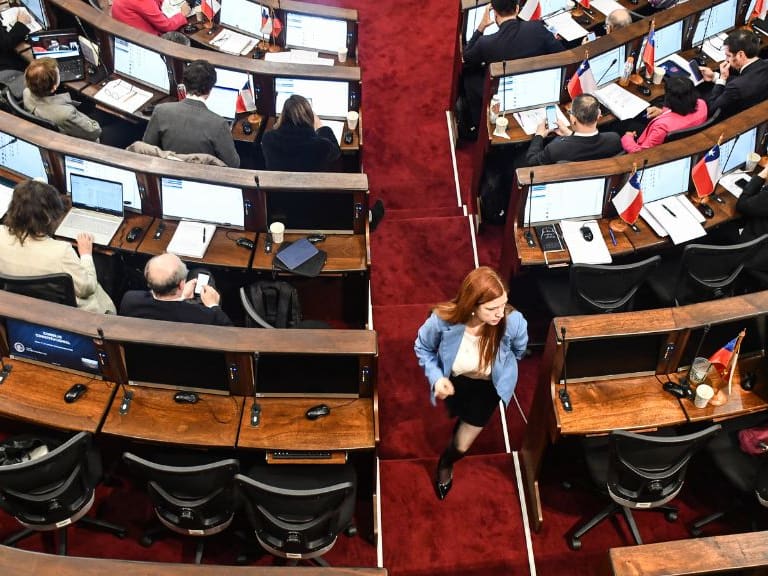 Alejandra Krauss - consejo constitucional - proceso constituyente -- nueva constitución