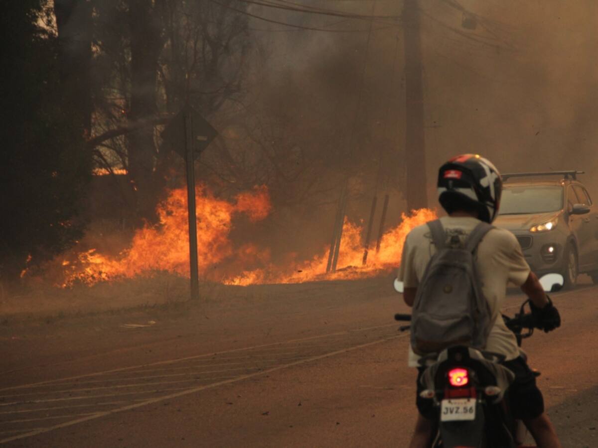 Balance incendios forestales: Senapred informa 98 siniestros en combate, 24 fallecidos y más 400 mil hectáreas afectadas