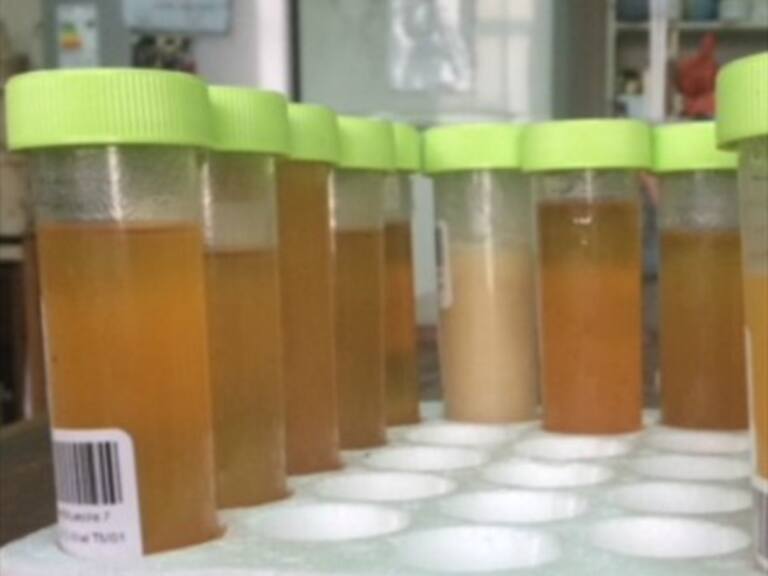 El consumo de la miel nos ayuda a pasar un mejor invierno